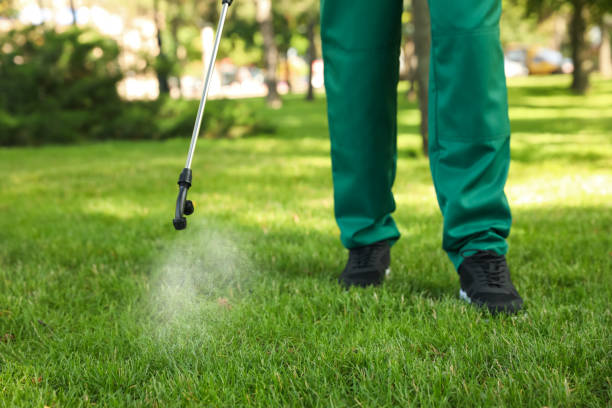 Best Exterminator Services  in Merrimac, VA
