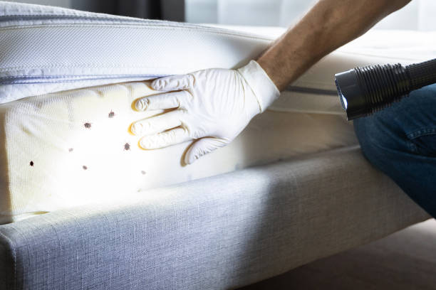Best Affordable Pest Control Services  in Merrimac, VA